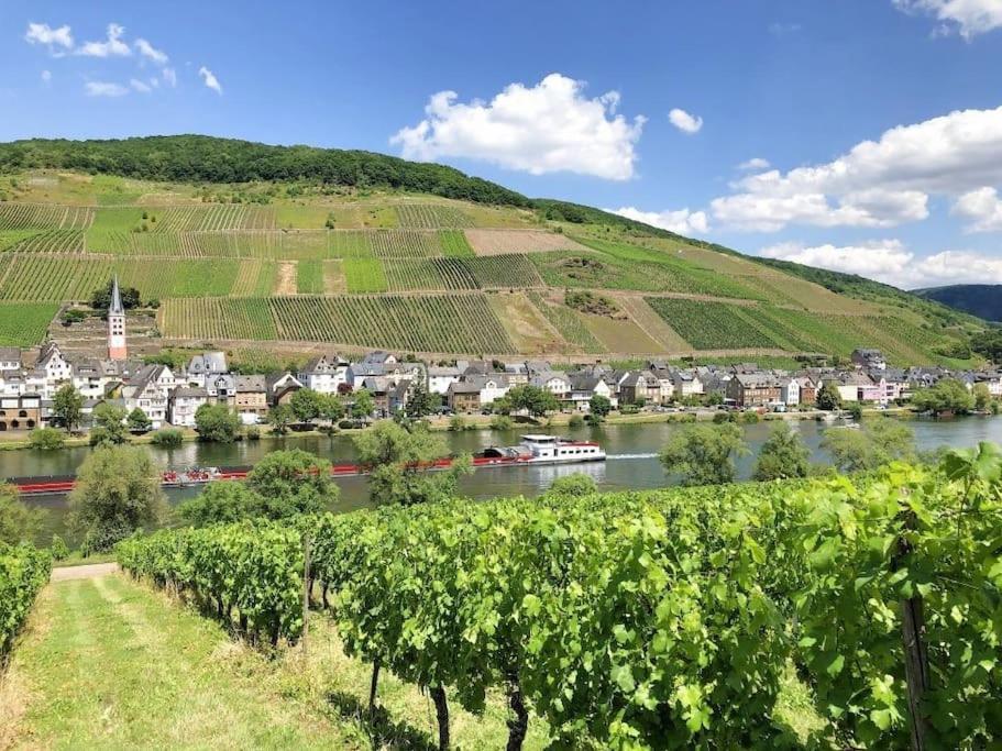 Ferienhaus Schwanennest Zell an der Mosel Exteriér fotografie